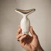 Advanced Face & Neck Tightening & Lifting Massager
